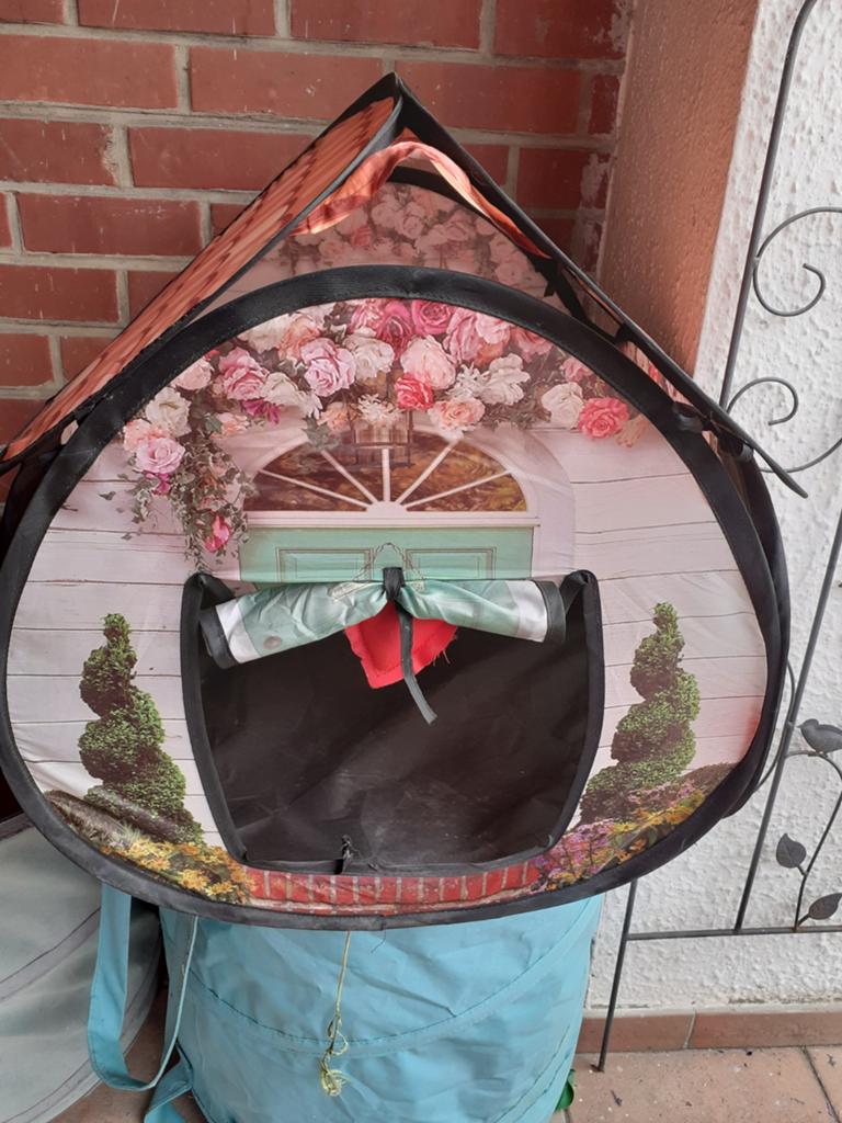 Tente pour chat chien, Enlèvement
