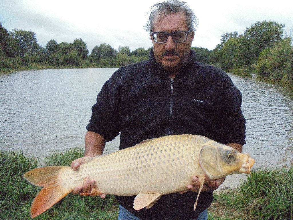 karpervissen frankrijk, Ophalen