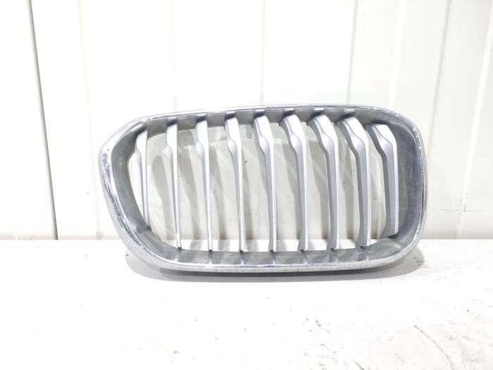 Calandre d'un BMW 1-Serie, Autos : Pièces & Accessoires, Carrosserie & Tôlerie, BMW, Utilisé, 3 mois de garantie, Enlèvement ou Envoi