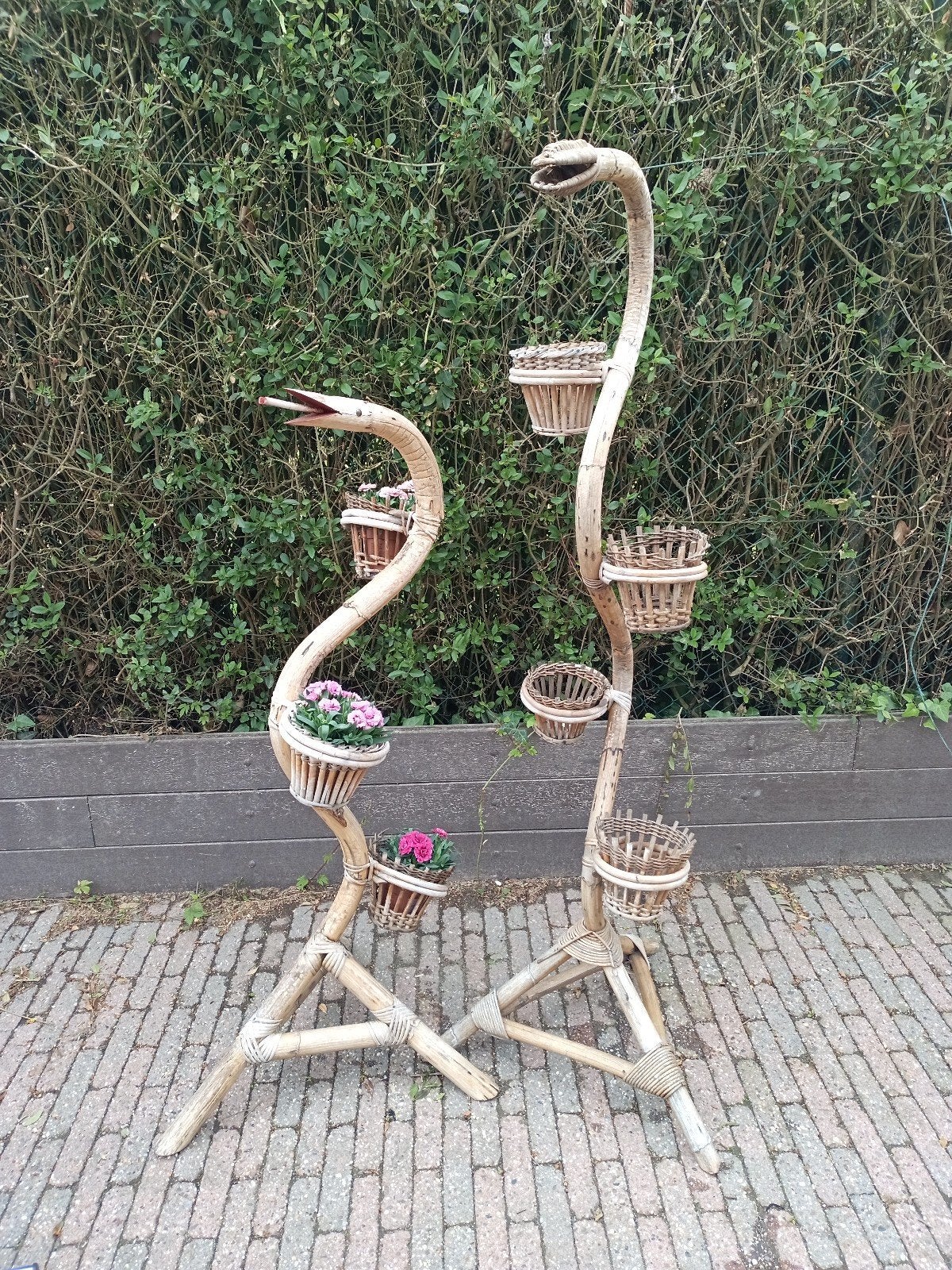 Support à plantes en rotin serpent des années 1960 Rohé Noor, Enlèvement