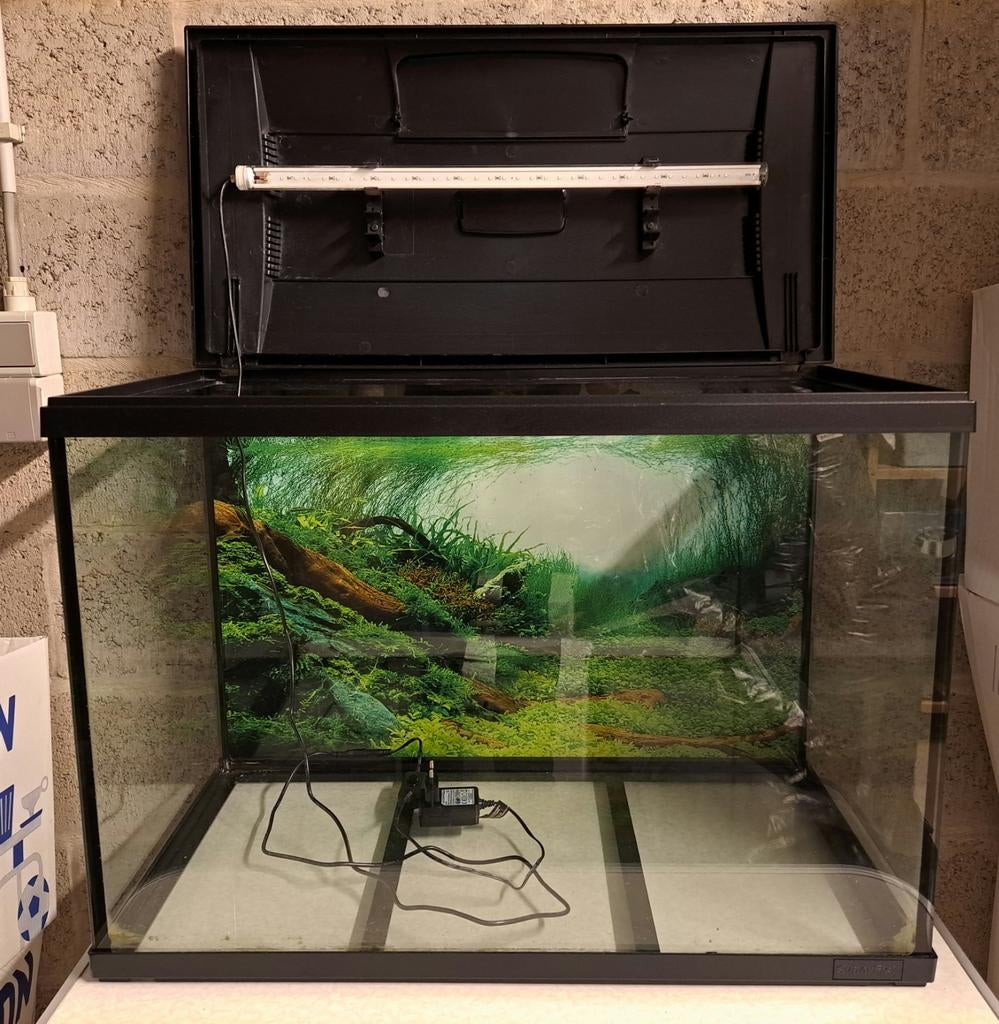 Compleet Aquarium 100L + Veel Extra’s – Instapklaar!, Dieren en Toebehoren, Ophalen, Gebruikt, Leeg aquarium, Superfish