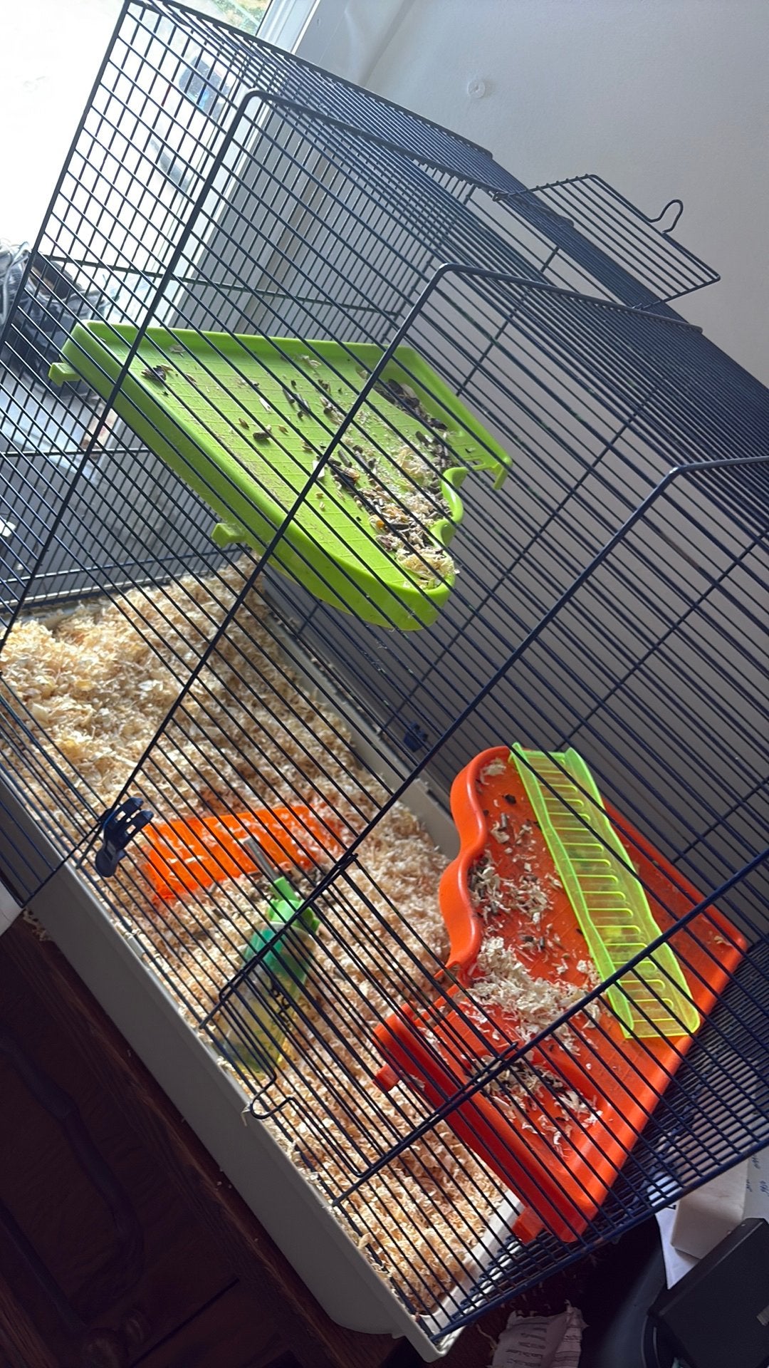 Gratis hamster kooi, Ophalen, Zo goed als nieuw, Kooi, Hamster