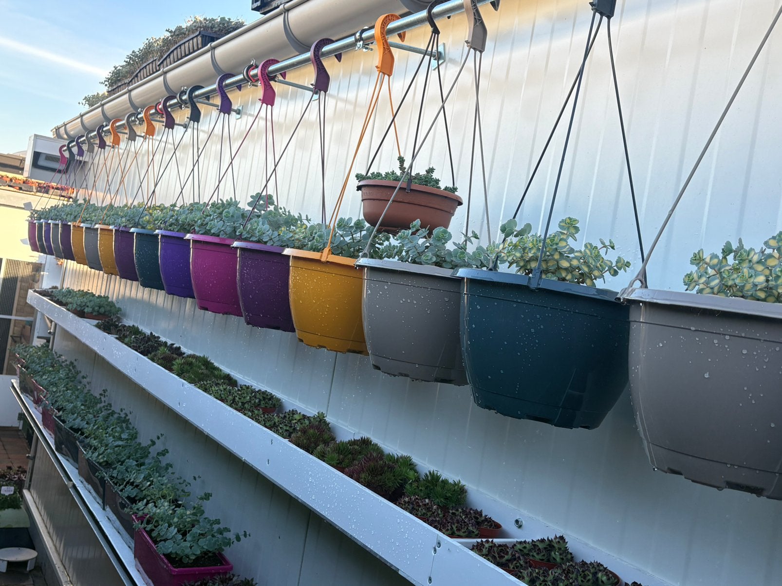 Hangpotten&Bloembakken, Tuin en Terras, Ophalen