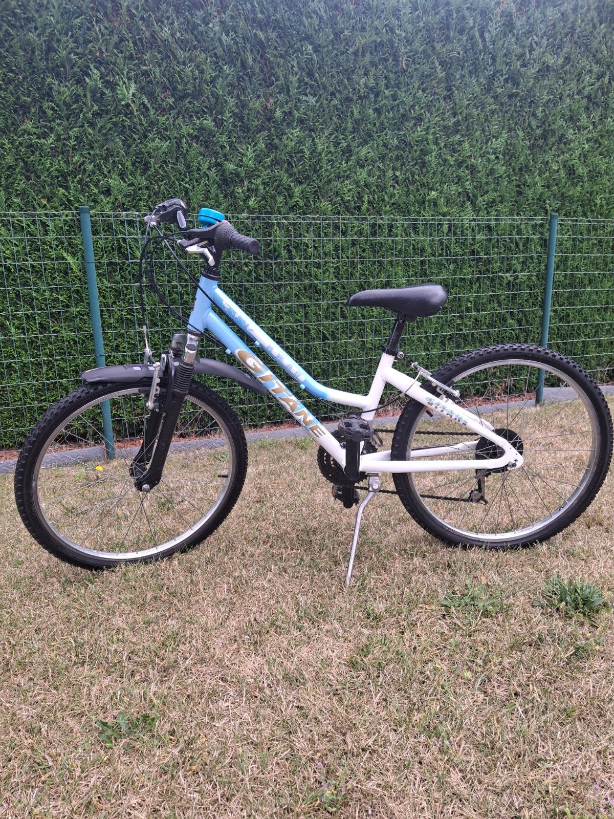 Meisjes mountainbike 24 inch, Ophalen