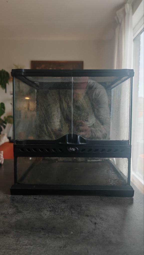 Exoterra Terrarium 30x30x30, Dieren en Toebehoren, Ophalen