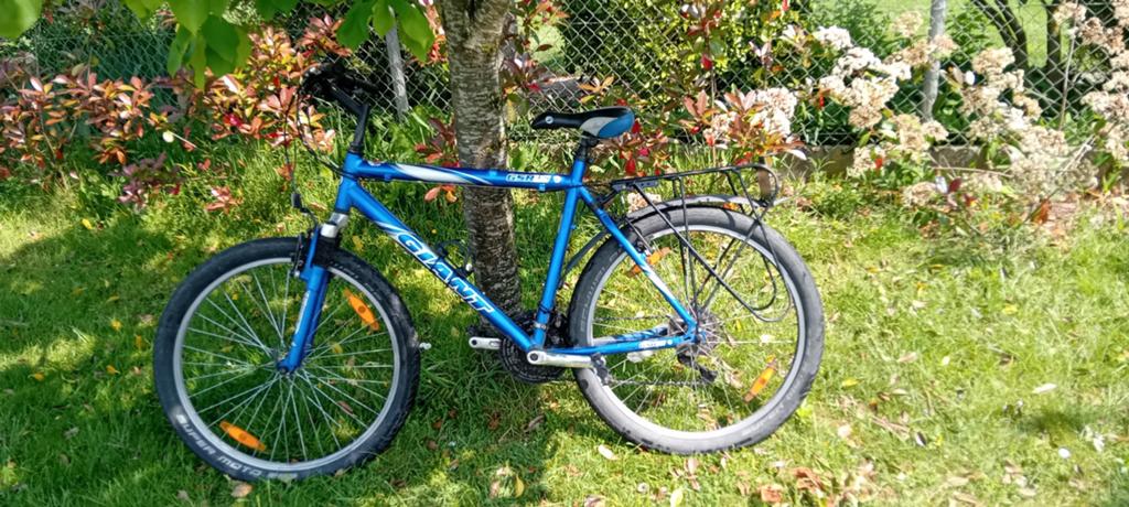 Volwassenen fiets/mountenbike, Ophalen