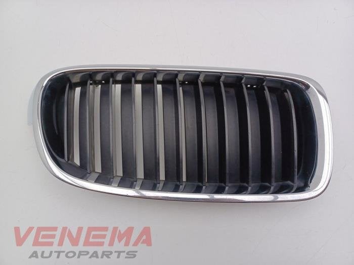 Grille van een BMW 3-Serie (NVT), Gebruikt, -, -, Ophalen of Verzenden