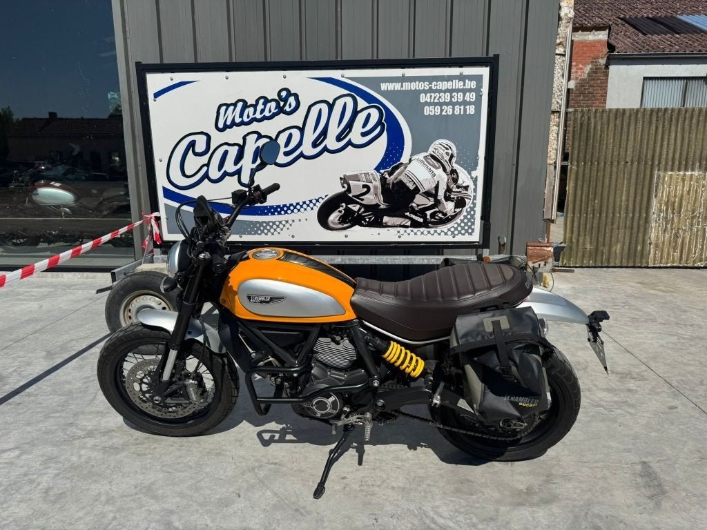 Ducati	Scrambler 800