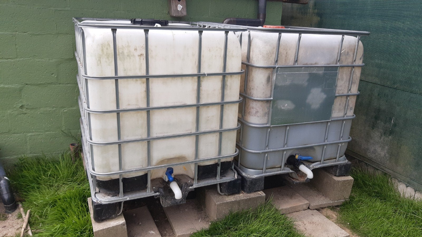 IBC container 1000l, Ophalen, Kunststof, Met kraantje, 150 liter of meer