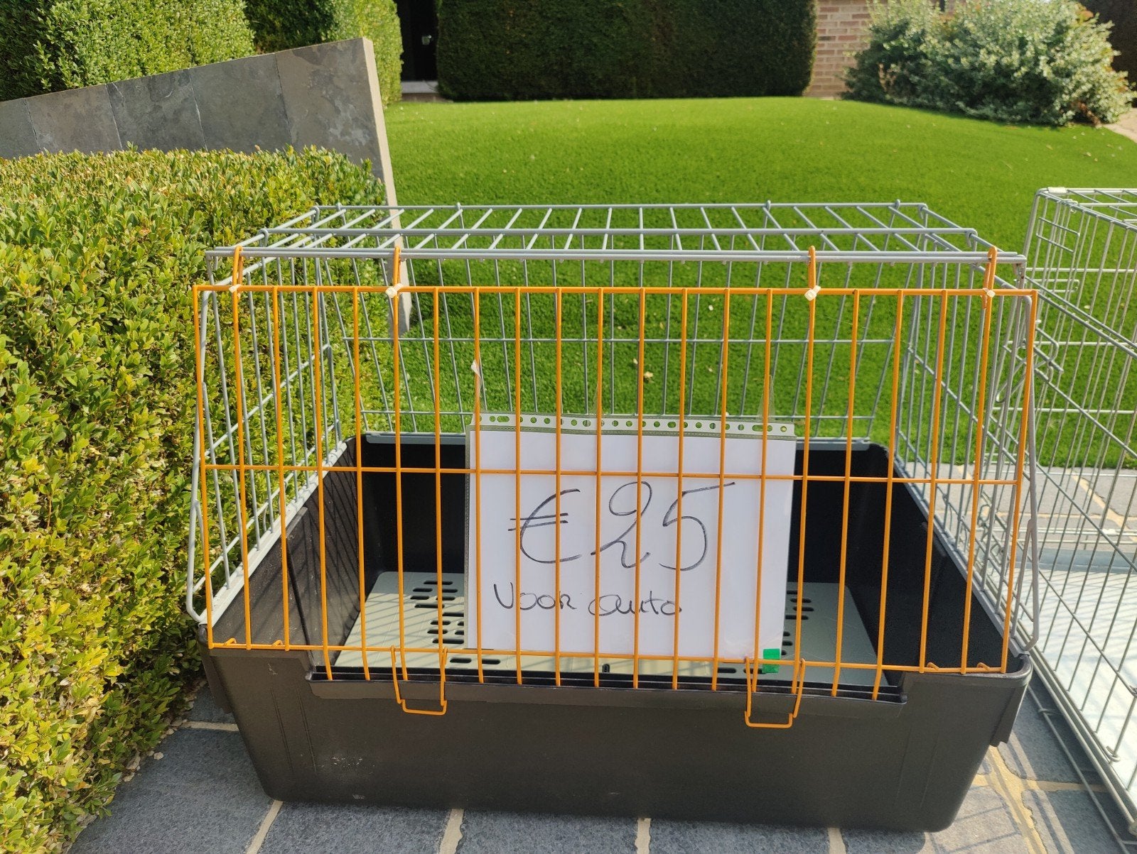 autobench hond, Ophalen