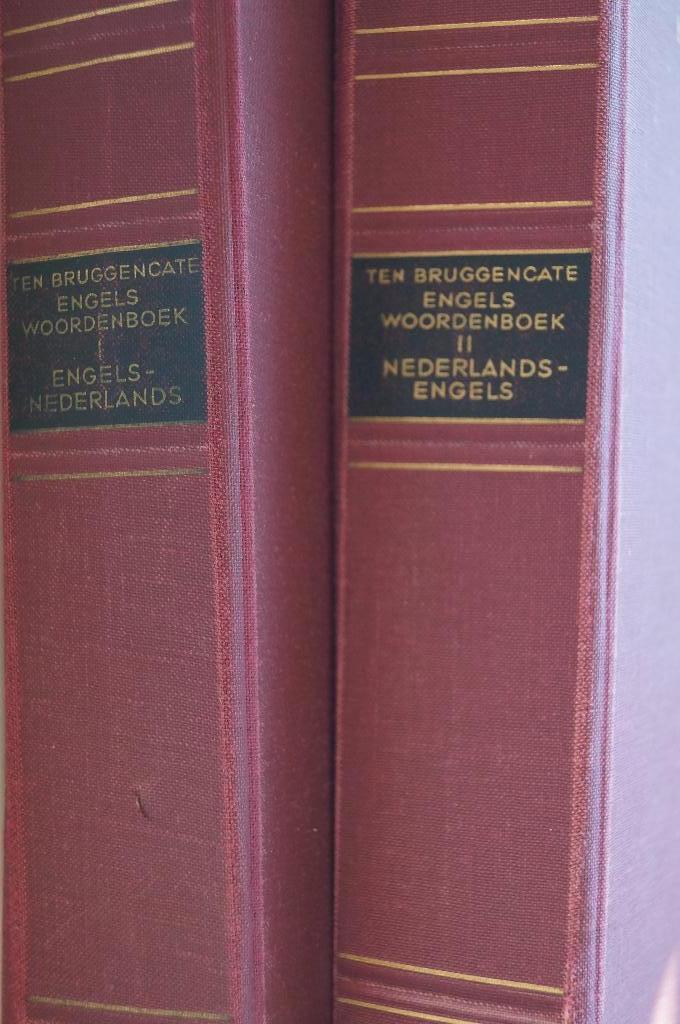 Engels-Nederlands en Nederlands-Engels, Boeken, Woordenboeken, Ophalen of Verzenden, Engels