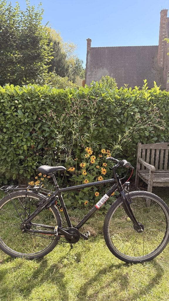 jongensfiets de Geus, Gebruikt, Velgrem, De geus, Handrem