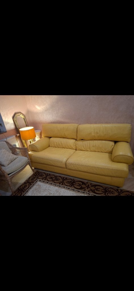 Salon en cuir, 200 à 250 cm, Enlèvement, Utilisé, Cuir