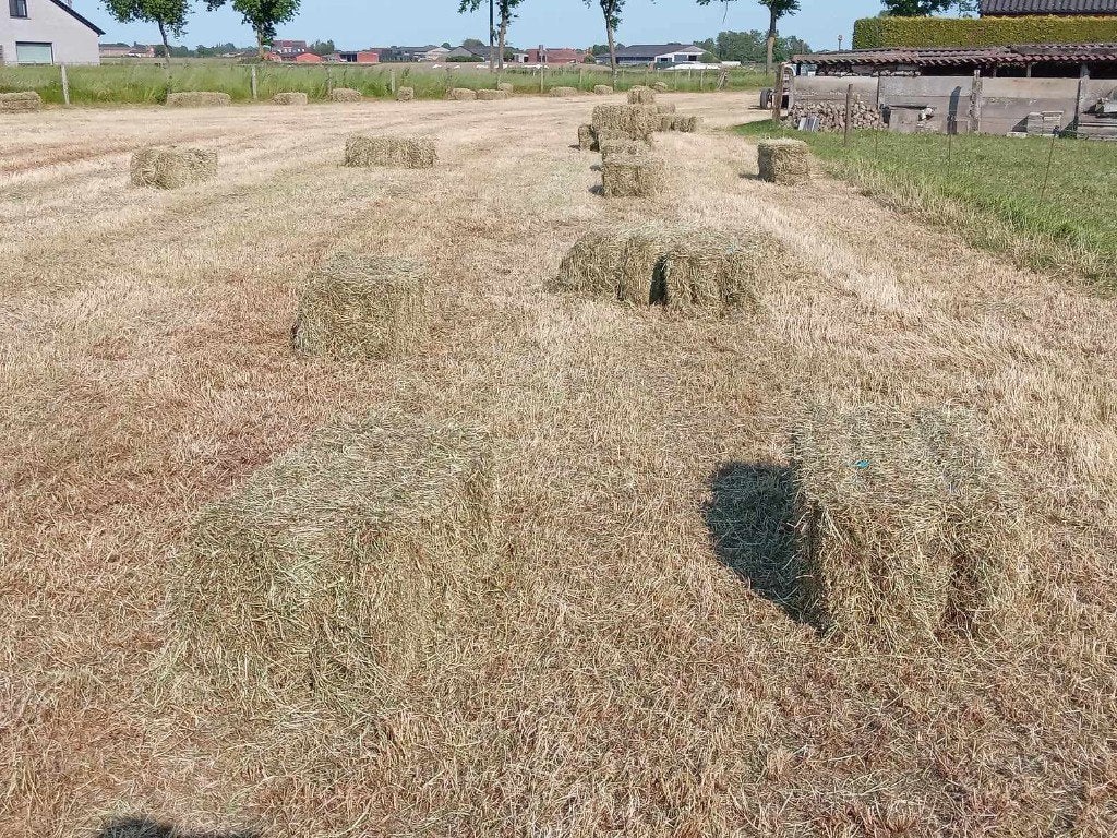mooi hooi te koop, Dieren en Toebehoren, Ophalen, Overige soorten