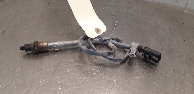 SONDE LAMBDA Volkswagen Tiguan (AD1) (|06K906262AP|), Utilisé, Volkswagen