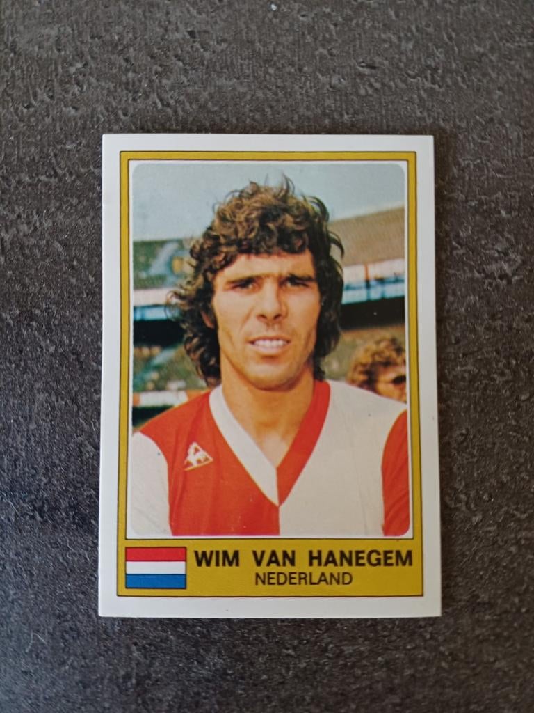 Panini Euro Football 76 Van Hanegem Nr 199, Envoi