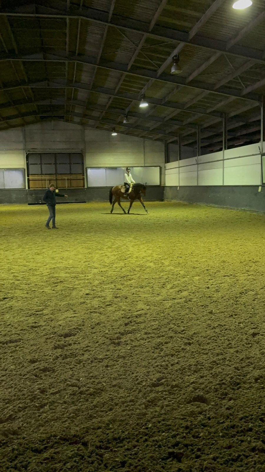 Recreatie ruin - 1m80, Dieren en Toebehoren, Ruin, Recreatiepaard