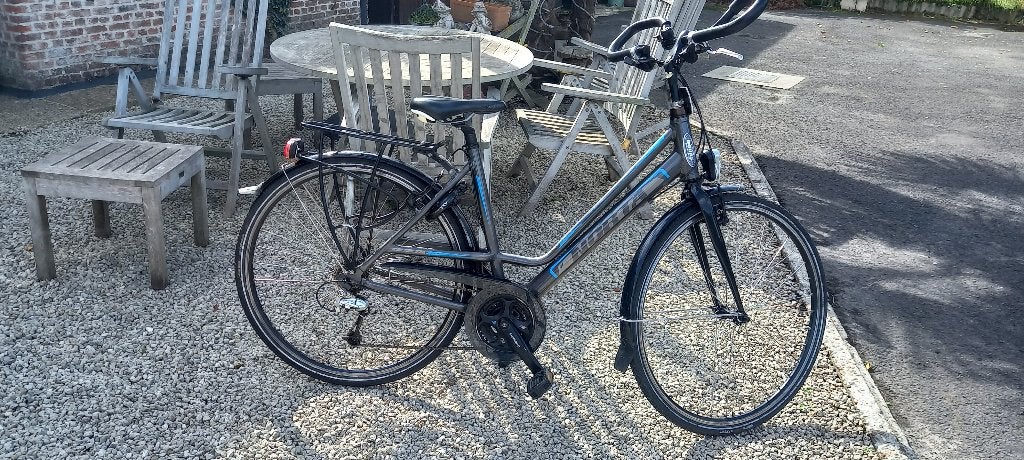 damesfiets, Fietsen en Brommers, Ophalen, Gebruikt, Velgrem, 47 tot 50 cm
