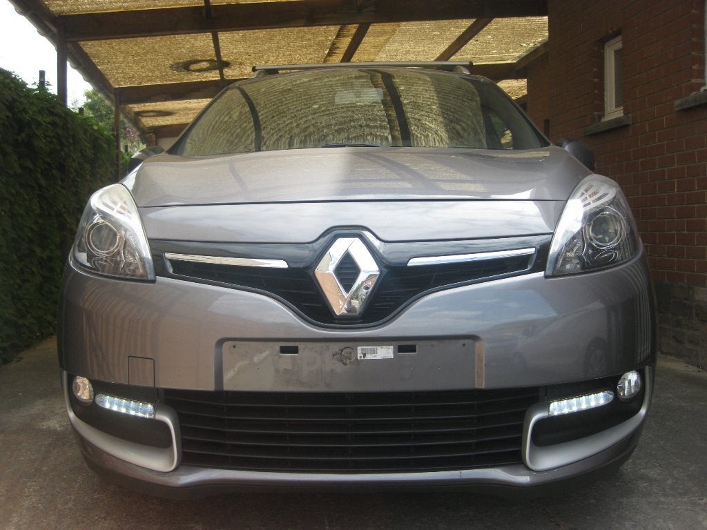 Renault Megane Scenic 1.2 TCe Clim Ct ok Feuille rose, Euro 5, Achat, Entreprise, Boîte manuelle