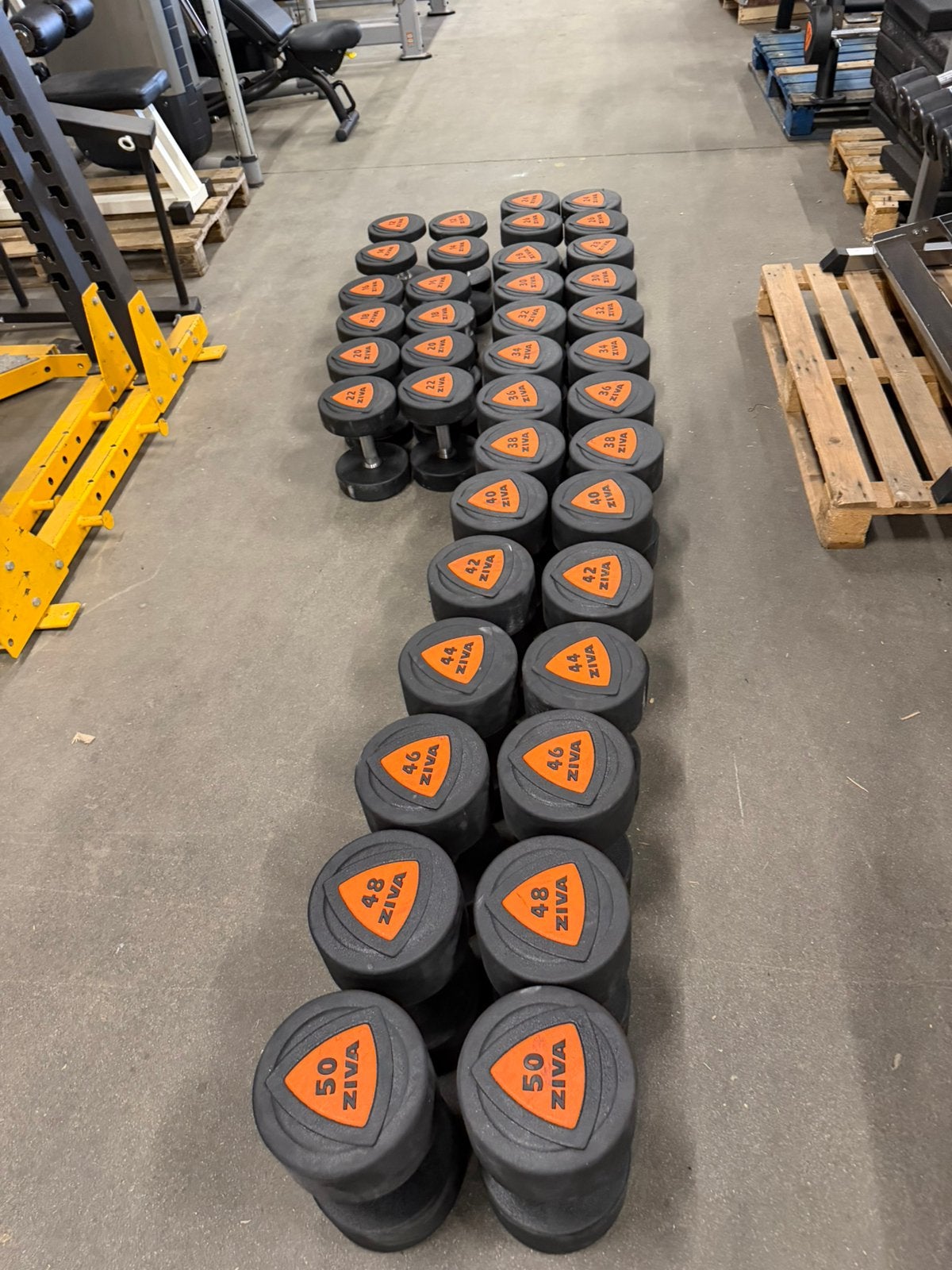 Rubberen Ziva Pu Dumbells 12kg t/m 50kg, Sport en Fitness, Ophalen, Zo goed als nieuw, Dumbbell
