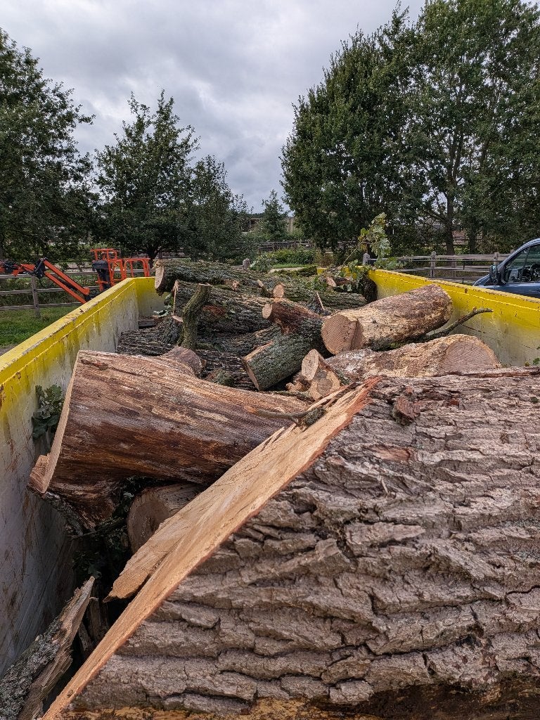 Brandhout eik, Tuin en Terras, 6 m³ of meer, Ophalen of Verzenden, Eikenhout, Stammen