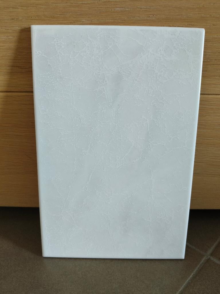 Tegel wit glans 22.5 x 15 cm, 20 à 40 cm, Céramique, Enlèvement, Moins de 20 cm