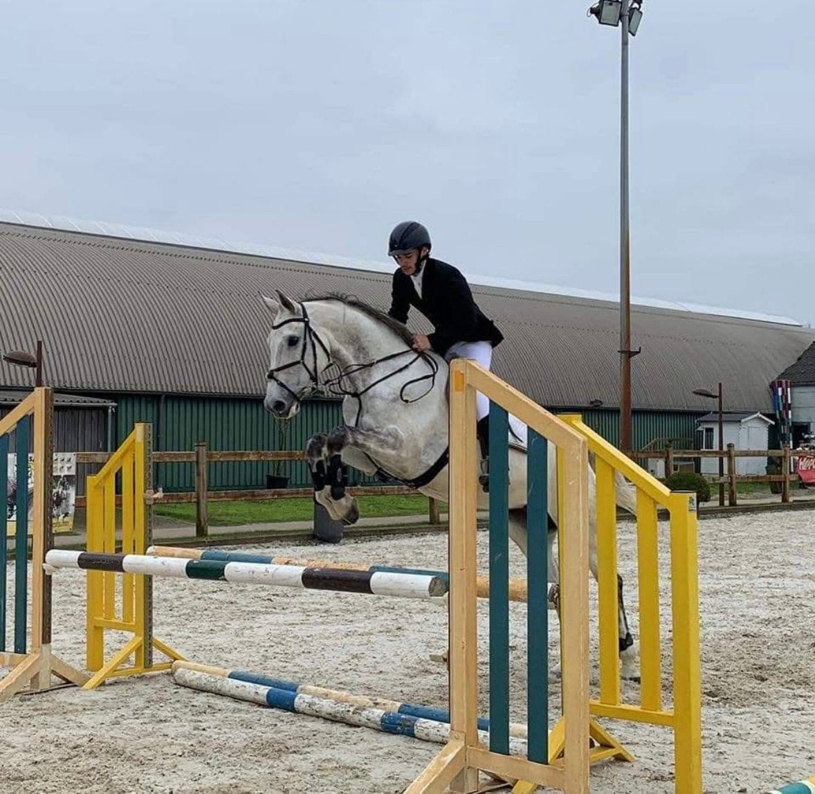 Trainingstal in tessenderlo, Dieren en Toebehoren, Zadelmak