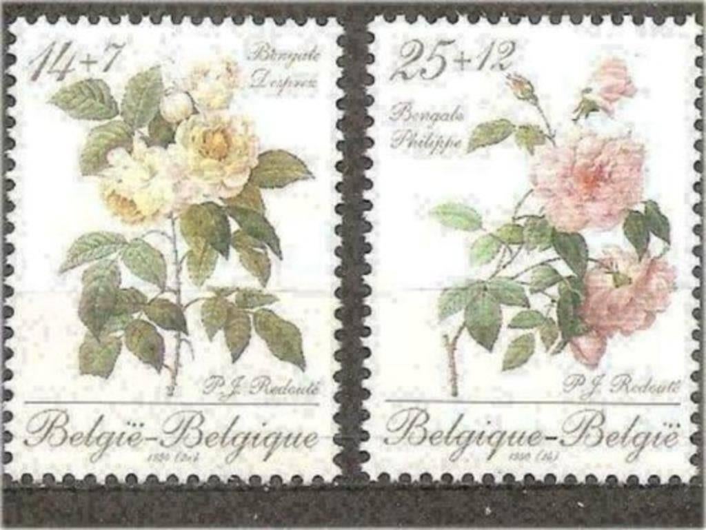 Belgique 1990 - Yvert 2354-2355 /OBP 2353-2354 - Flora (PF), Envoi, Non oblitéré, Neuf