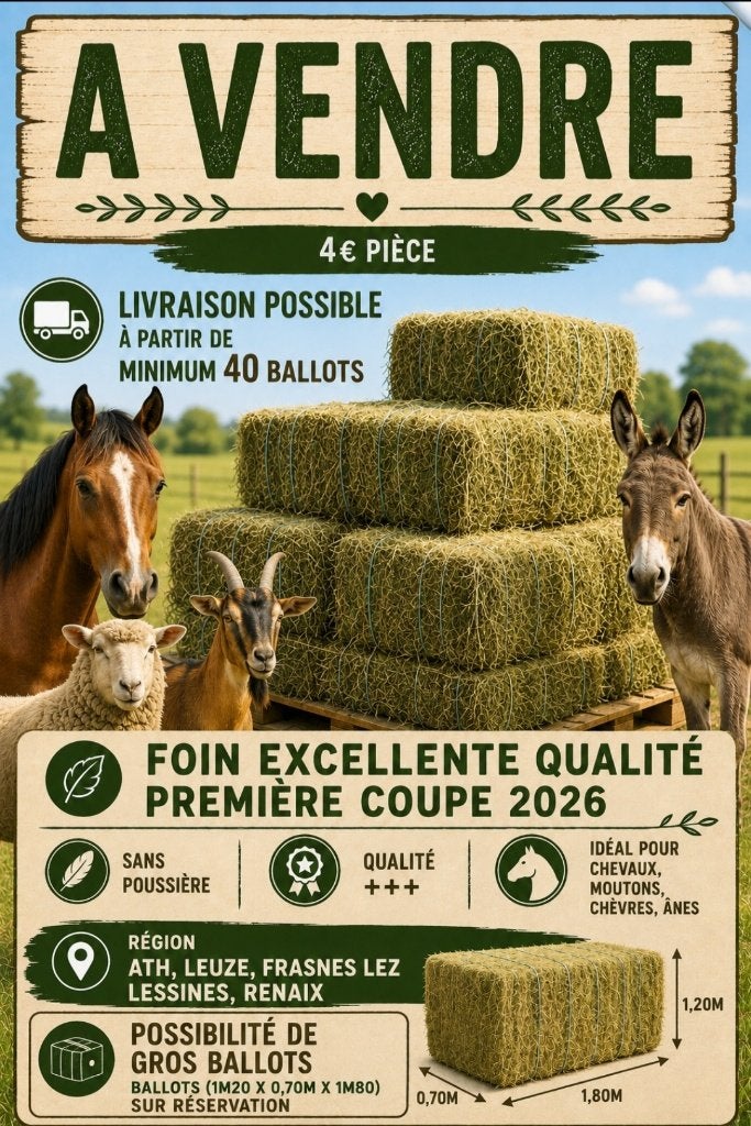 Foin excellente qualite 1ère coupe 2026, Animaux & Accessoires, Nourriture pour Animaux, Bétail, Enlèvement