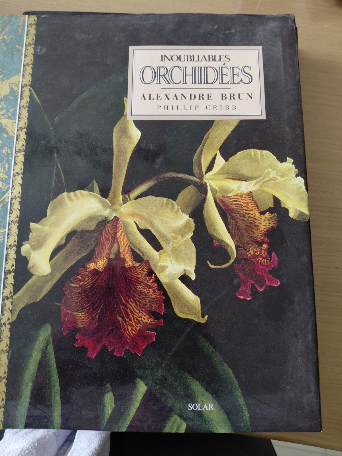 twee boeken de mooiste orchideeën, Livres, Maison & Jardinage, Enlèvement