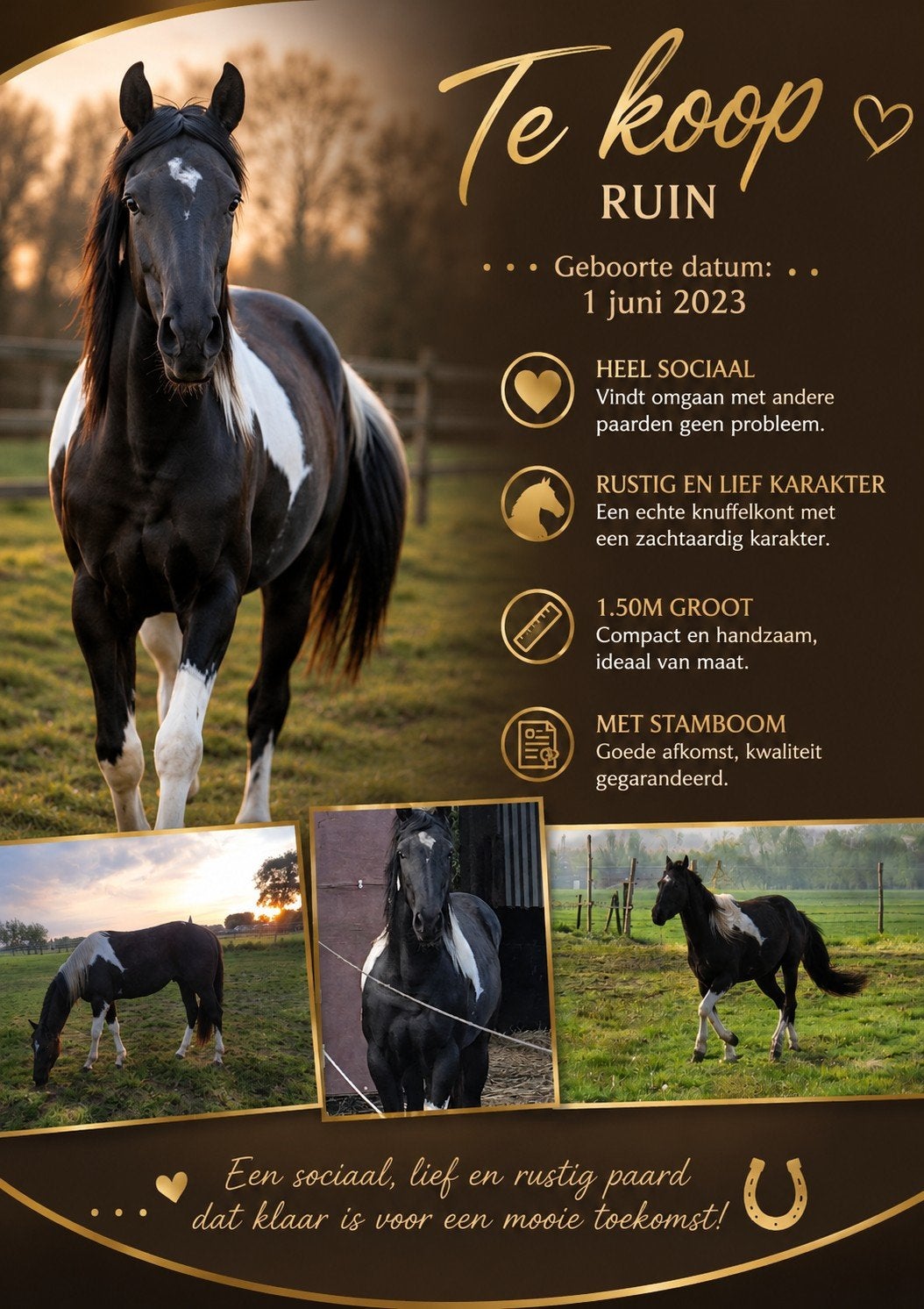 pony / paard, Ophalen