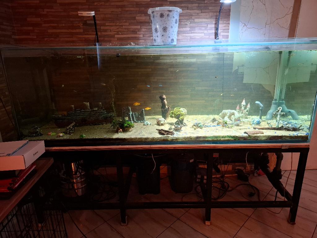 aquaruim, Enlèvement, Chauffage, Utilisé, Decoratie