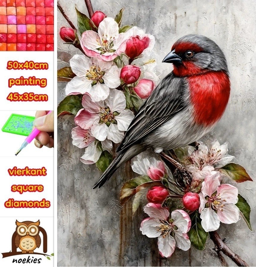 Peinture au diamant n 24 oiseau 50x40cm (carré), Hobby & Loisirs créatifs, Bricolage, Neuf, Multicolore, Autocollant, Autres matériaux