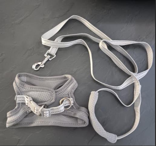 Ensemble harnais & laisse pour chat/chien XXS Neuf, Animaux & Accessoires, Enlèvement ou Envoi, Neuf