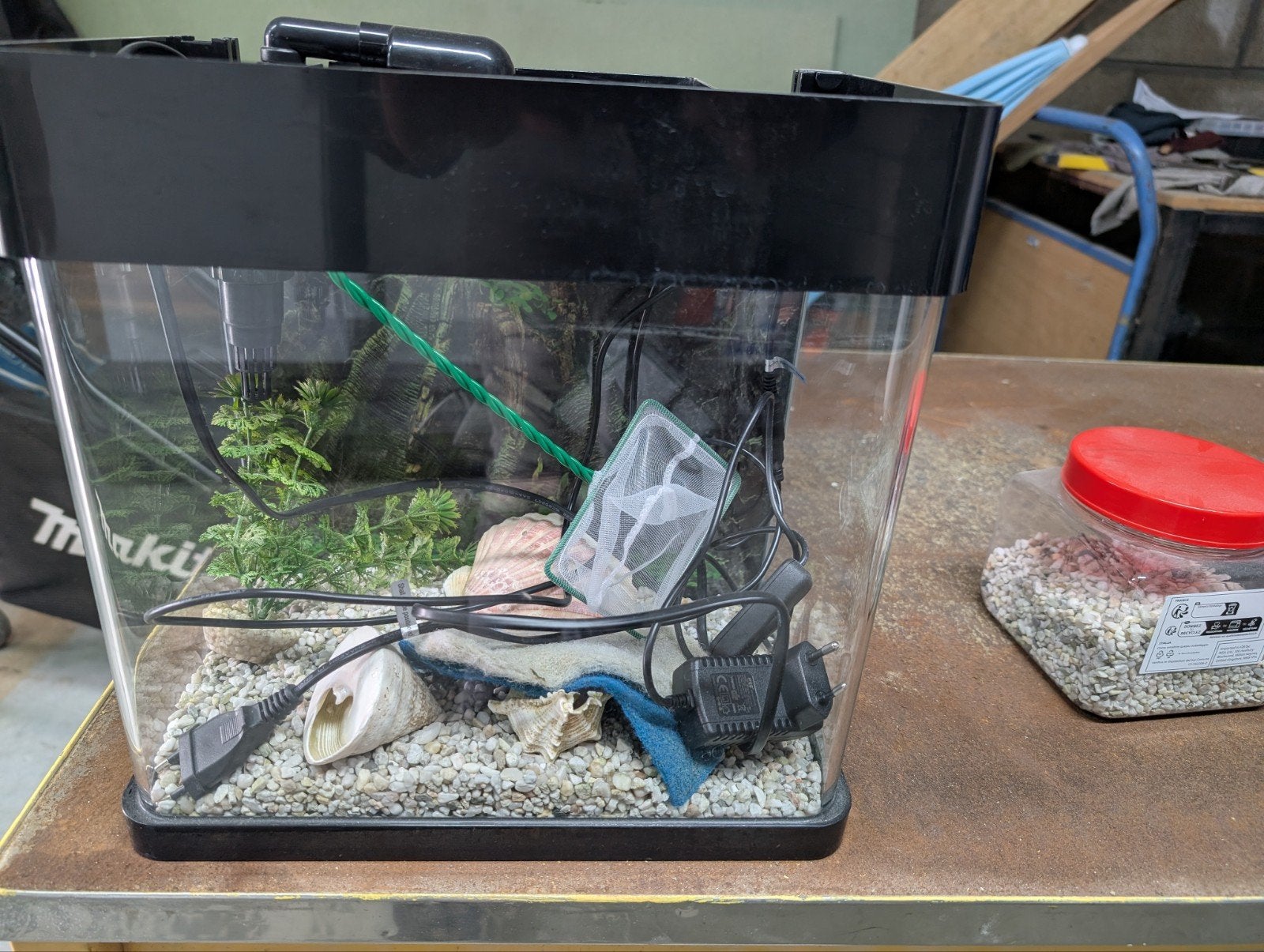 aquarium, Ophalen, Aquaforest, Pomp, Zo goed als nieuw