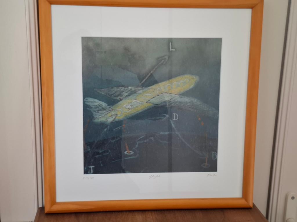 Christian Straetling "Flight", Antiek en Kunst, Kunst | Litho's en Zeefdrukken, Ophalen