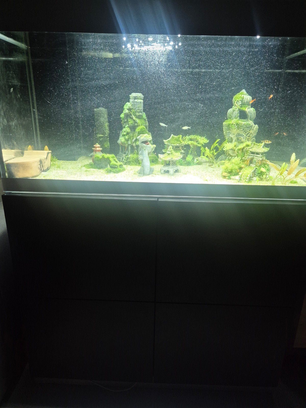 Oase HighLine Optiwhite 200L aquarium, Enlèvement, Oase