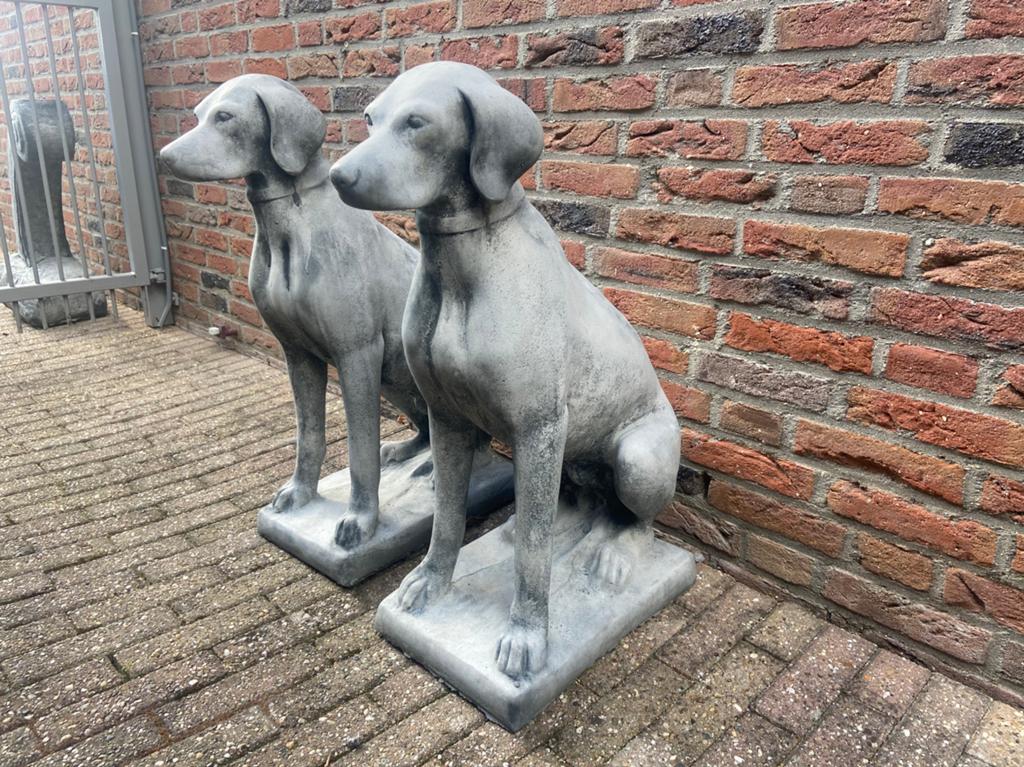 2x Lévrier anglais, Pointer, Weimaraner., Enlèvement, Neuf, Béton, Animal