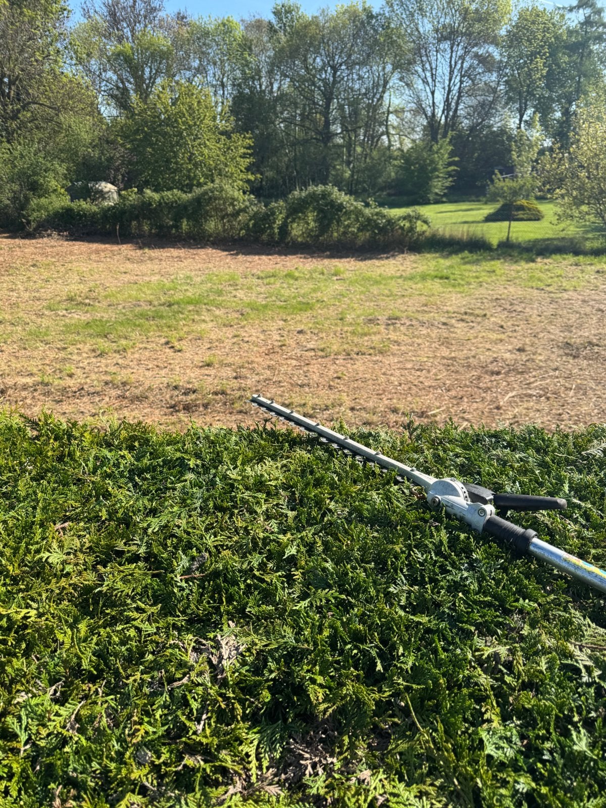 Entretien jardin, Enlèvement, Neuf