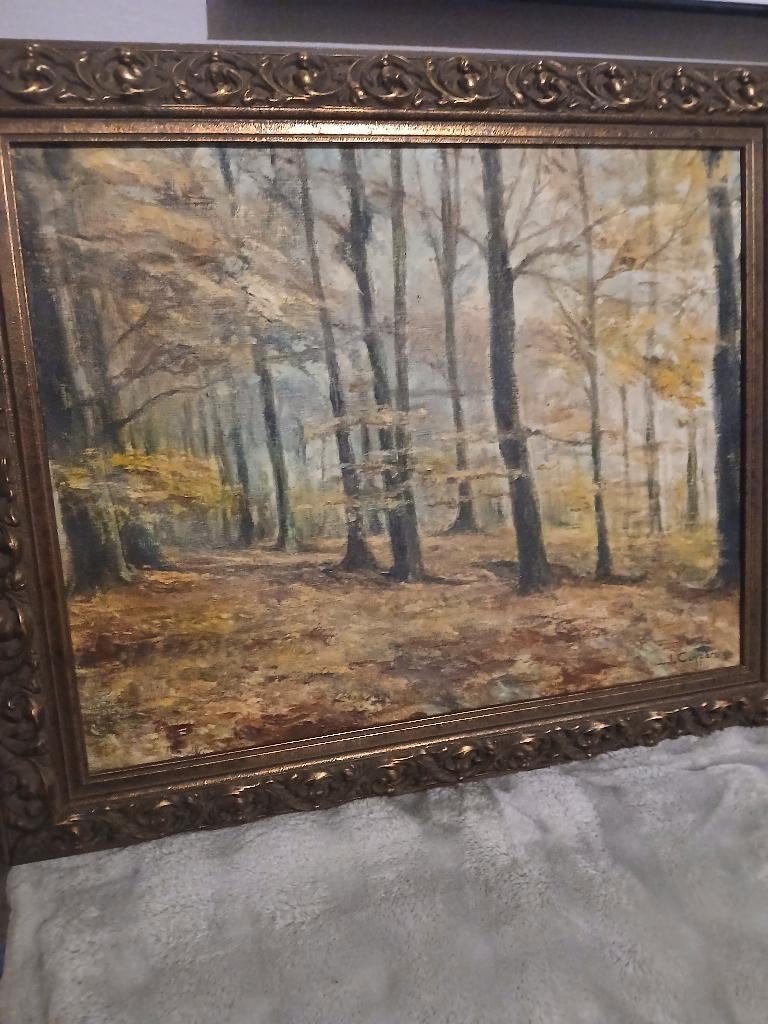 Huile sur toile. Bois en automne., Enlèvement ou Envoi