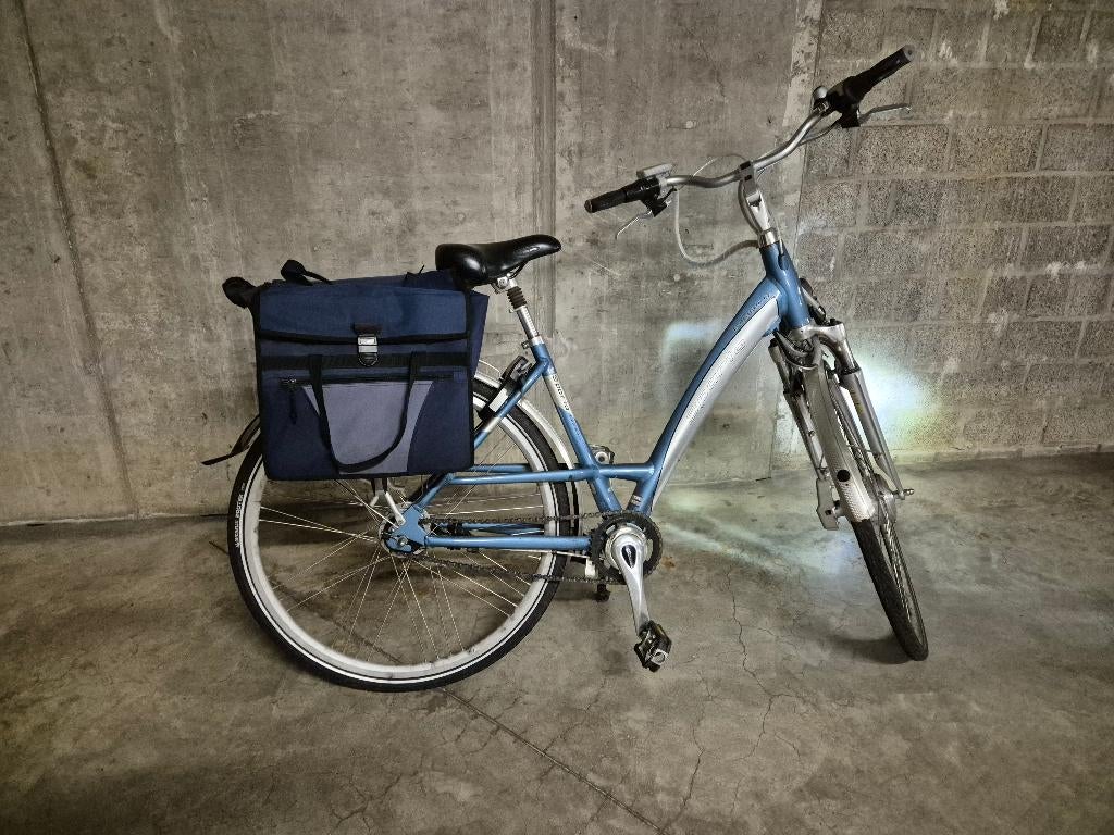 Electric fiets, Vélos & Vélomoteurs, Sparta, 47 à 51 cm, Enlèvement, Utilisé