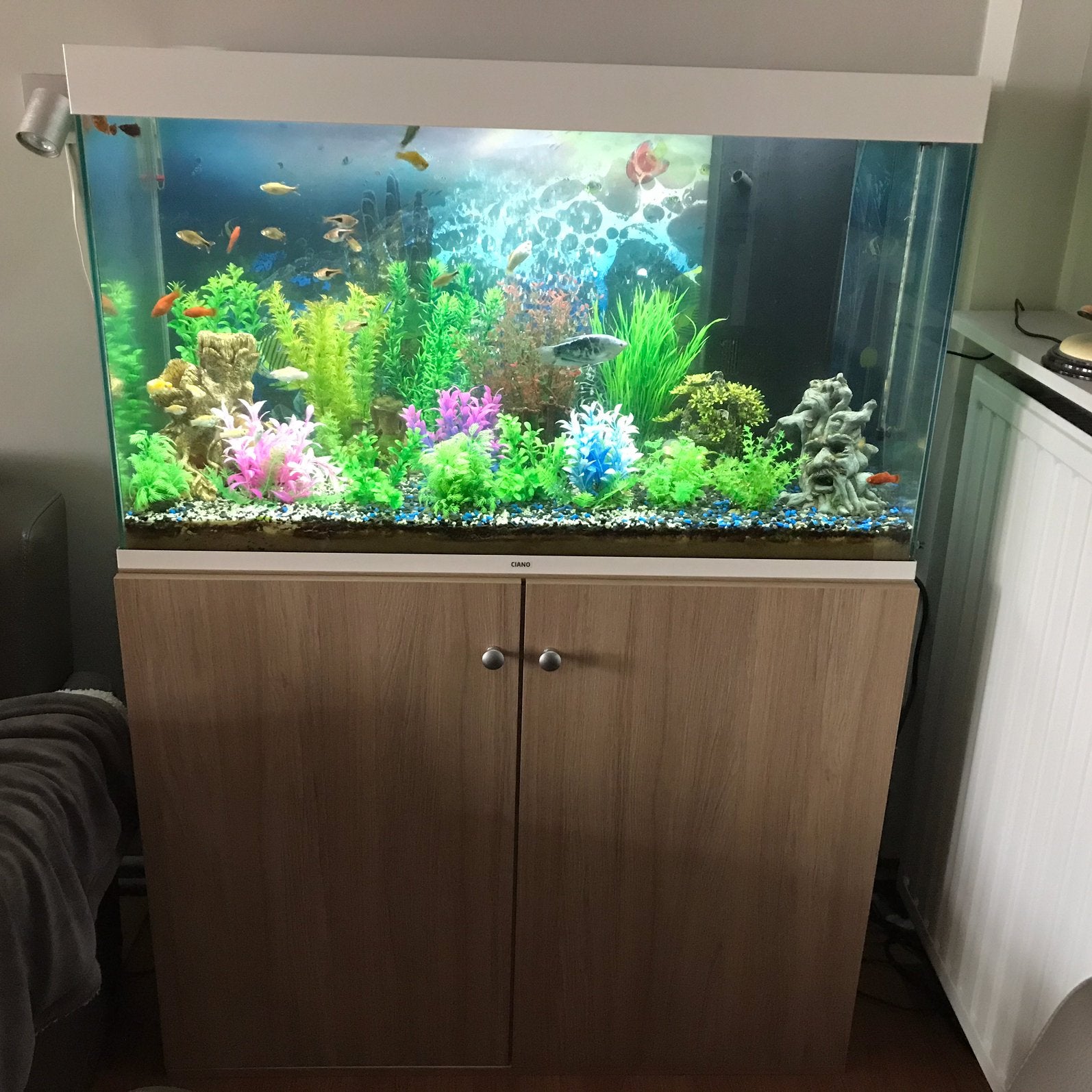 Aquarium met kast tekoop, Ophalen, Zo goed als nieuw
