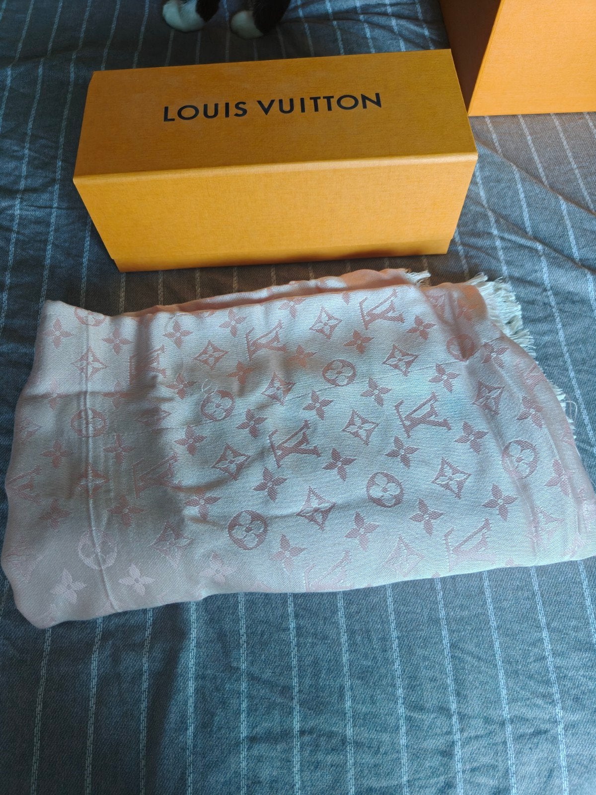 Sjaal Louis Vuitton, Vêtements | Femmes, Bonnets, Écharpes & Gants, Enlèvement, Écharpe