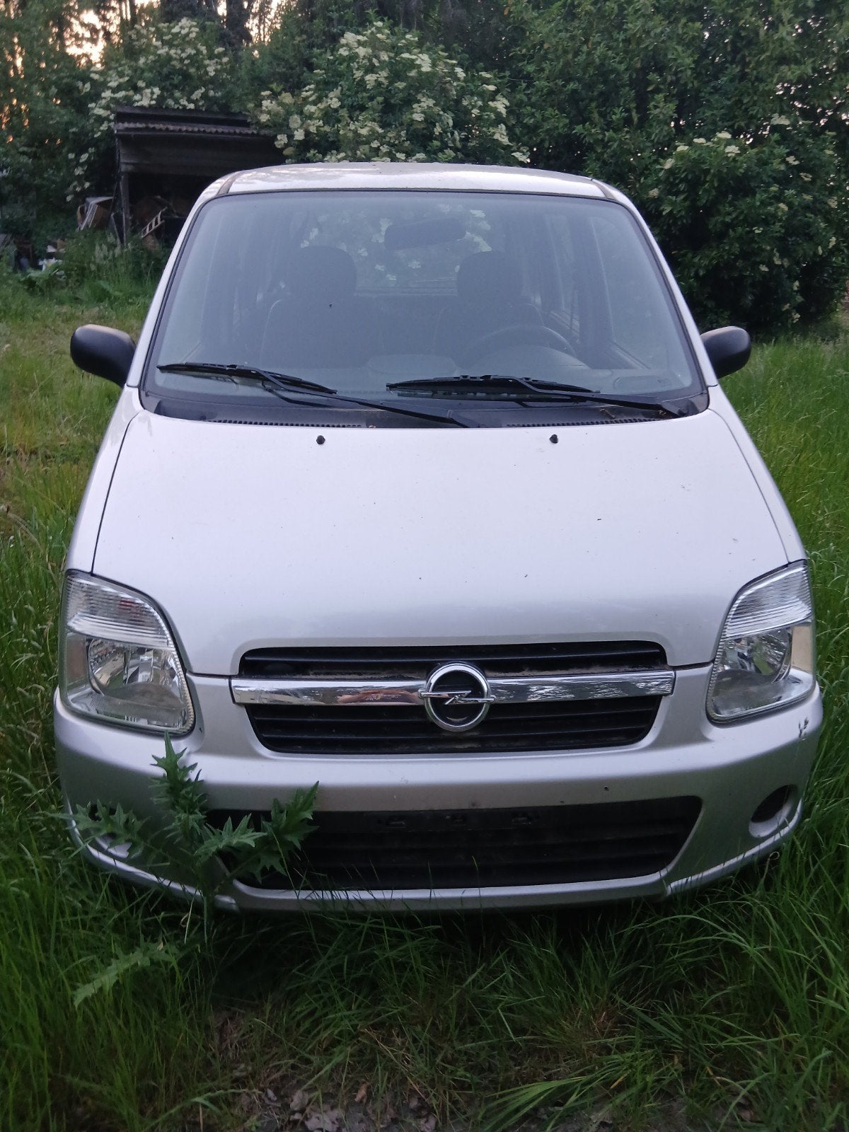 Moet weg! Doe bod!Opel agila !, Auto's, Trekhaak, Particulier, Groen, Agila