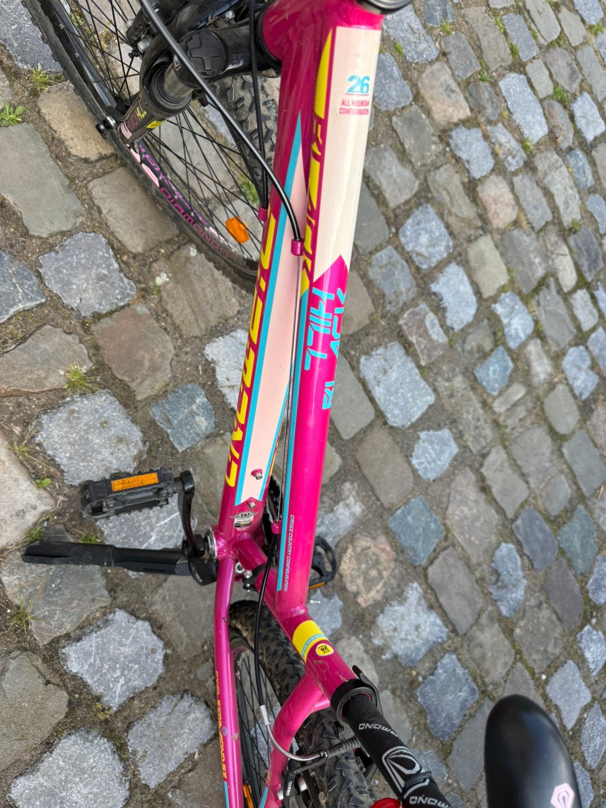 Joli vélo pour fille de 26 pouces, rose et prêt à rouler !, Vélos & Vélomoteurs, Enlèvement, Comme neuf, Autres marques