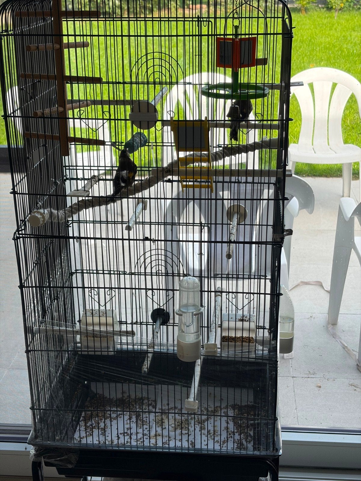 couple de chardonneret + cage, Enlèvement, Cage à oiseaux