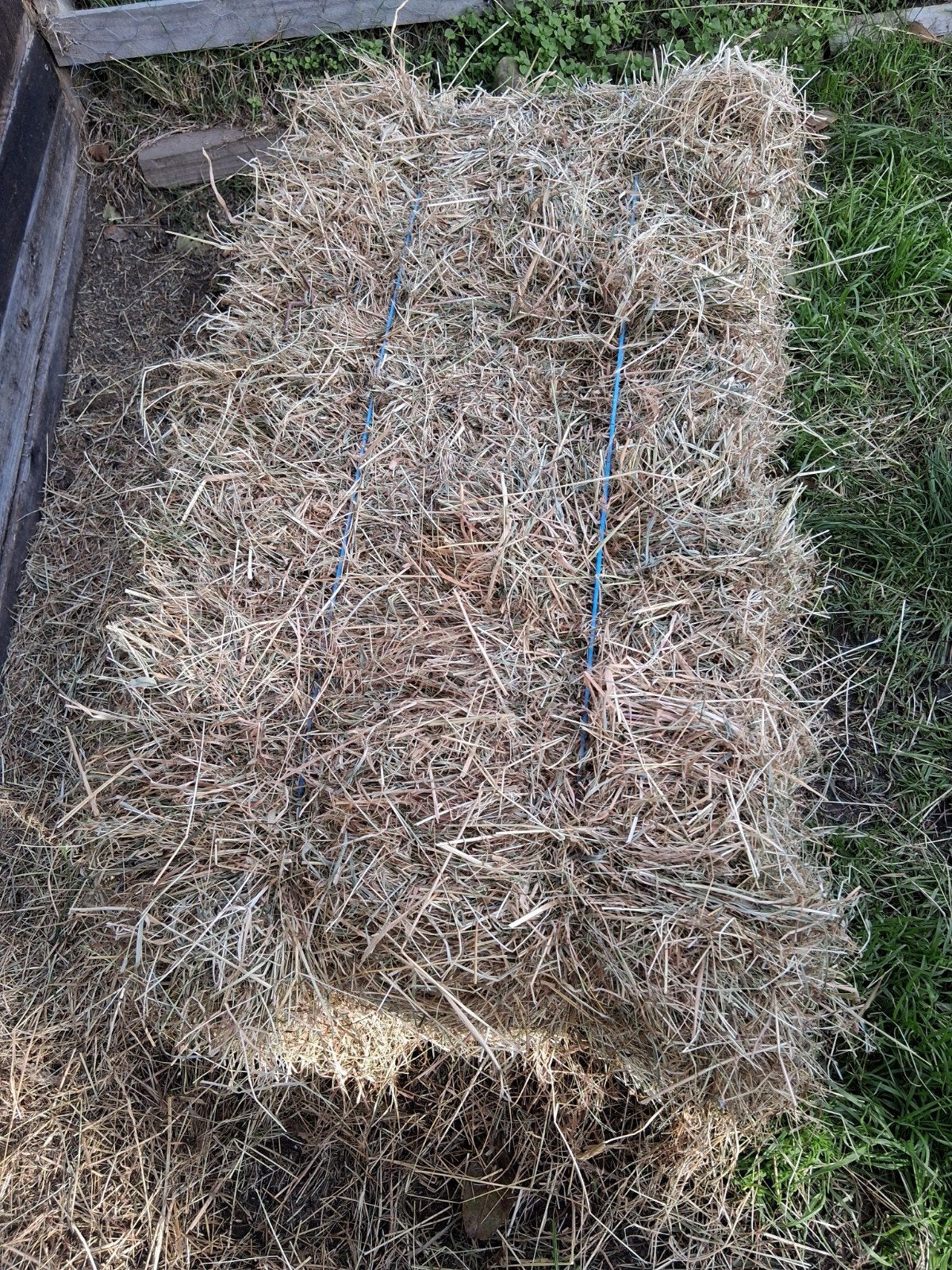 Hooi kleine pakken, Dieren en Toebehoren, Stalling, 1 paard of pony