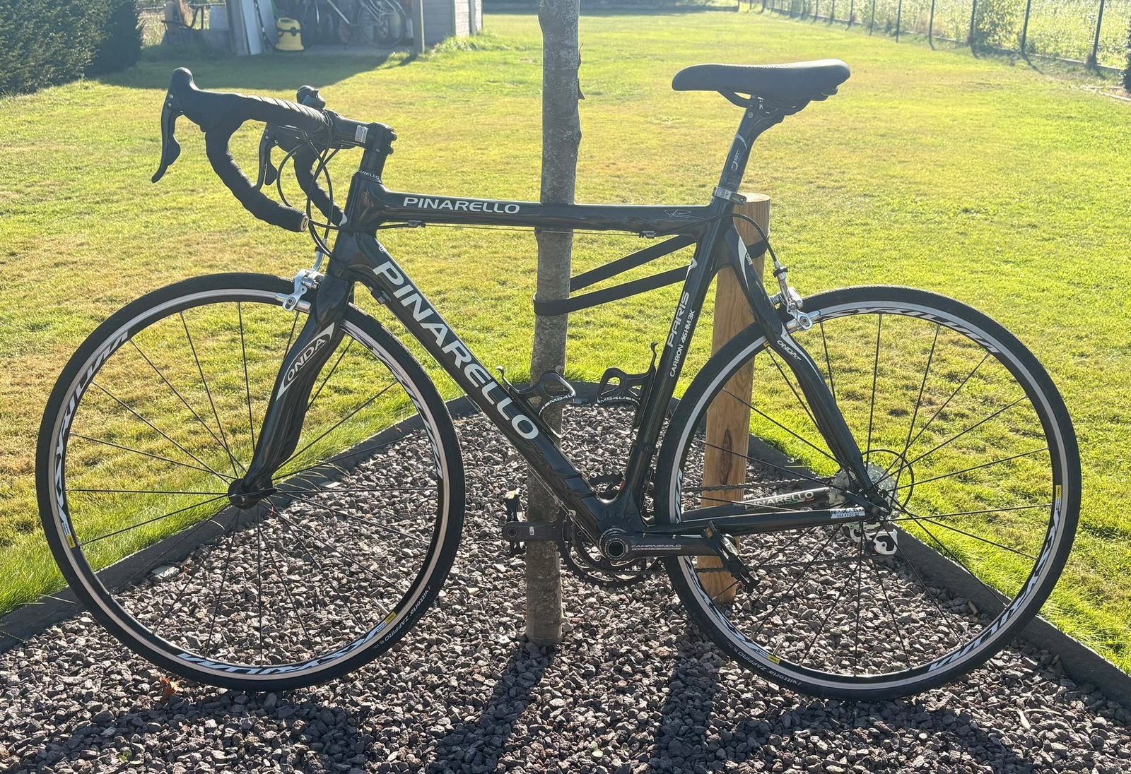 Racefiets Pinarello, Fietsen en Brommers, Gebruikt, Velgrem, 15 tot 20 versnellingen, 53 tot 57 cm