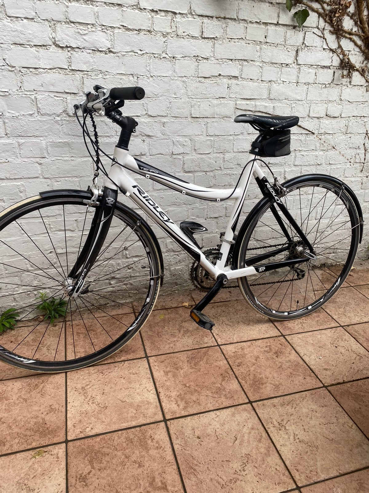 Dames (koers)fiets Ridley maat46, Fietsen en Brommers, Gebruikt, 10 tot 15 versnellingen, Minder dan 47 cm, Ophalen