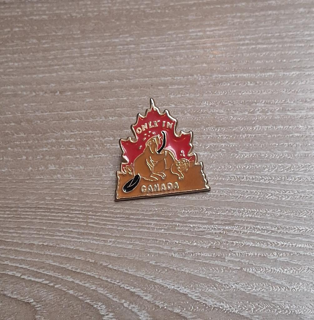 PIN - ONLY IN CANADA - BEVER - CASTOR, Verzamelen, Verzenden, Gebruikt, Stad of Land, Speldje of Pin